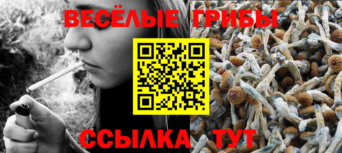 Псилоцибиновые грибы прущие грибы  наркота  Медногорск  Вход с VPN 