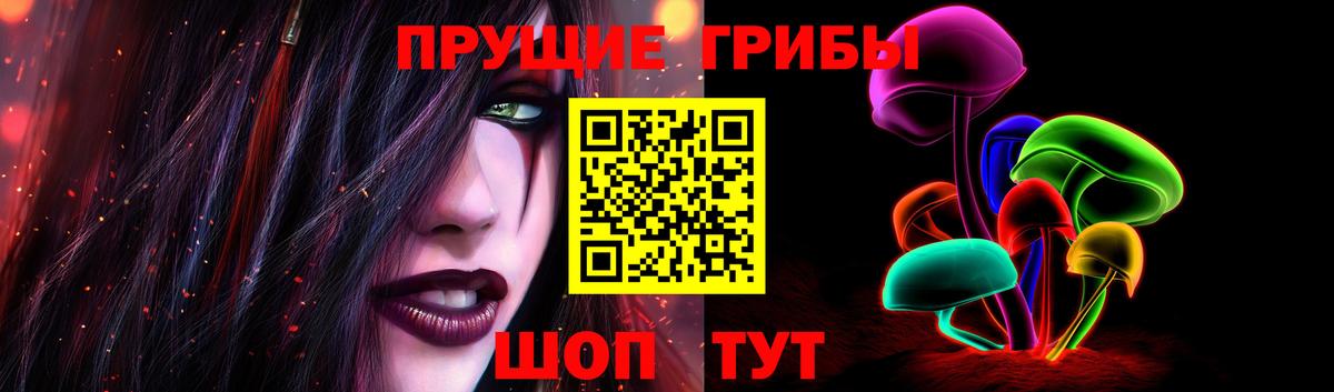 Псилоцибиновые грибы Psilocybine cubensis Медногорск